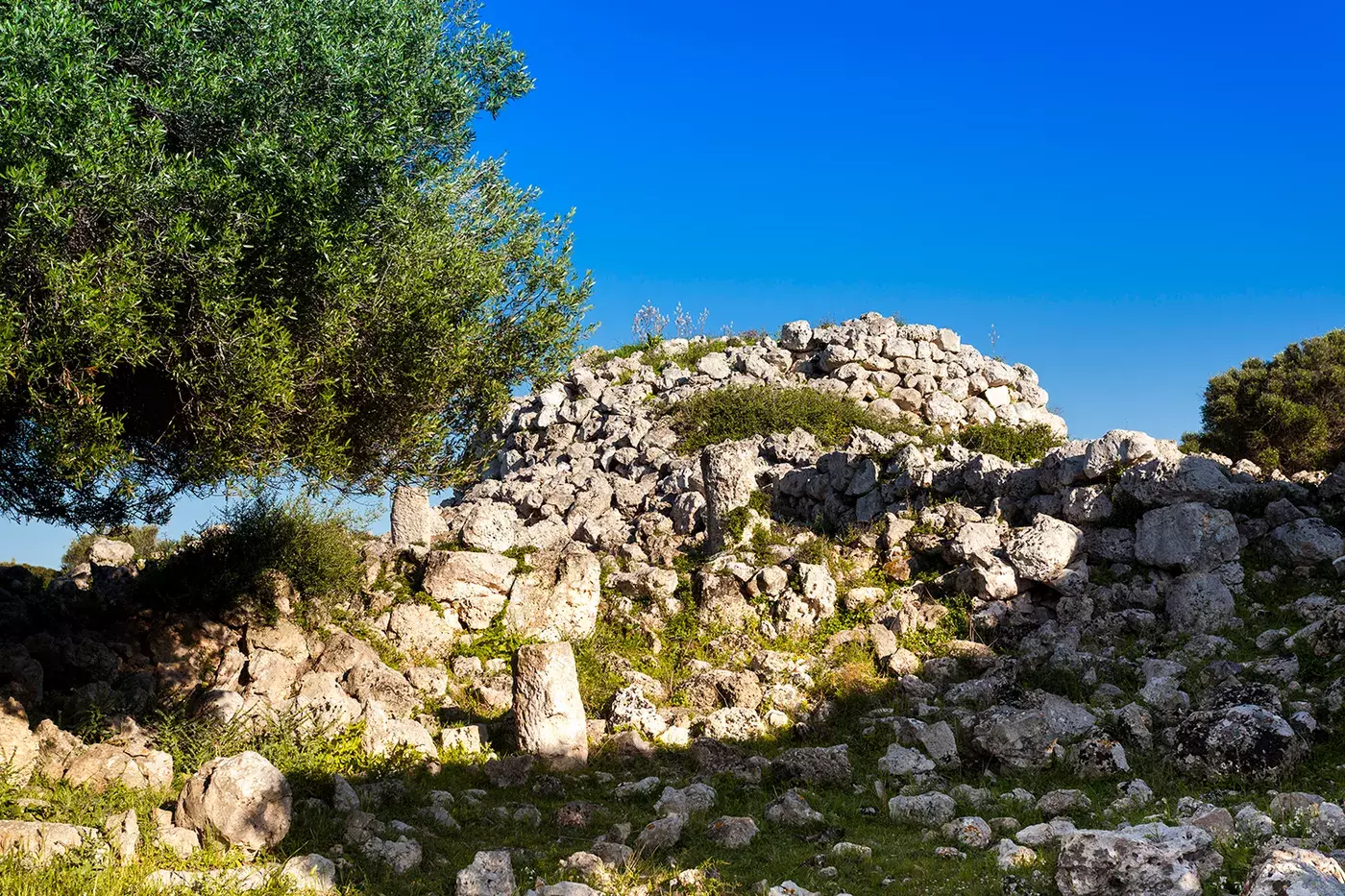 Image of Talayotic settlement of Sant Agustí